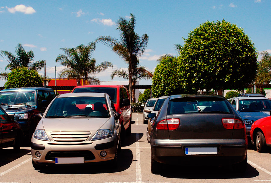 ¿Problemas para encontrar tu coche en los parkings? A esta hormiga no le pasaría nunca