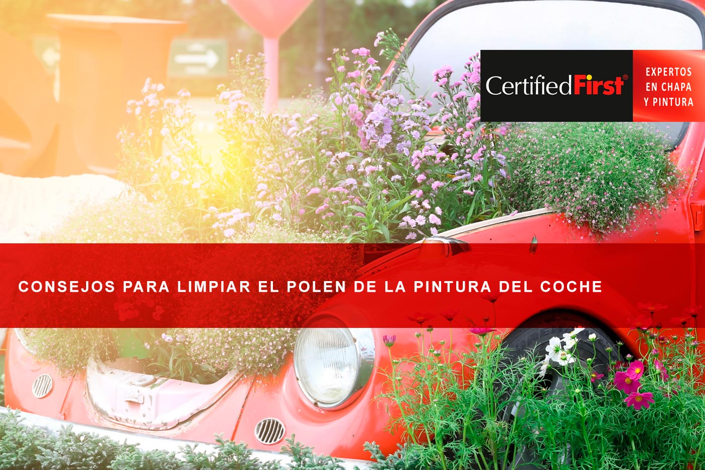 Consejos para limpiar el polen de la pintura del coche