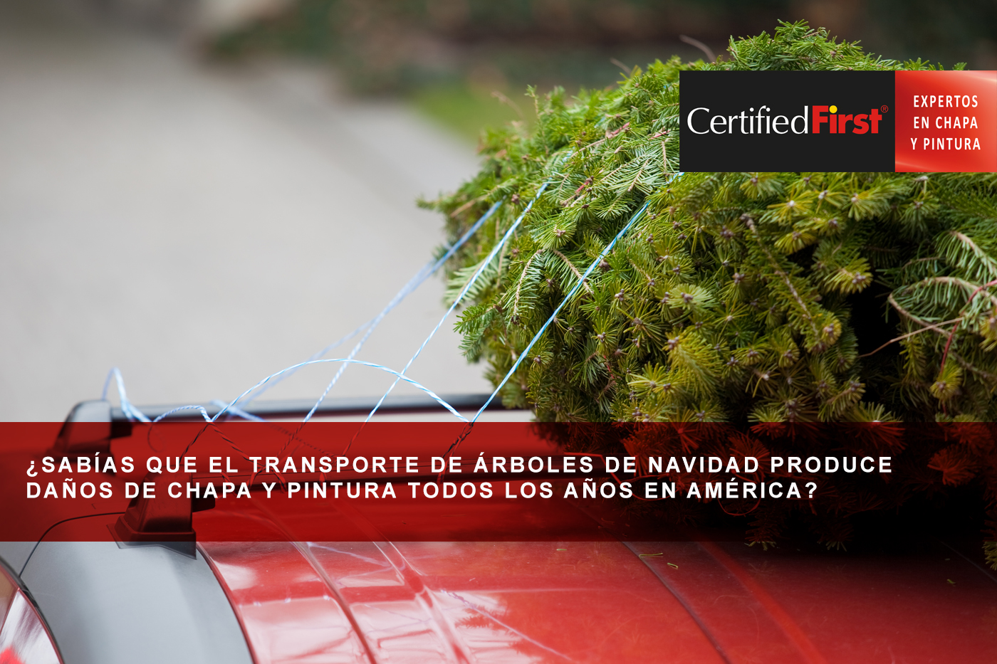 ¿Sabías que el transporte de árboles de Navidad produce daños de chapa y pintura todos los años en América?