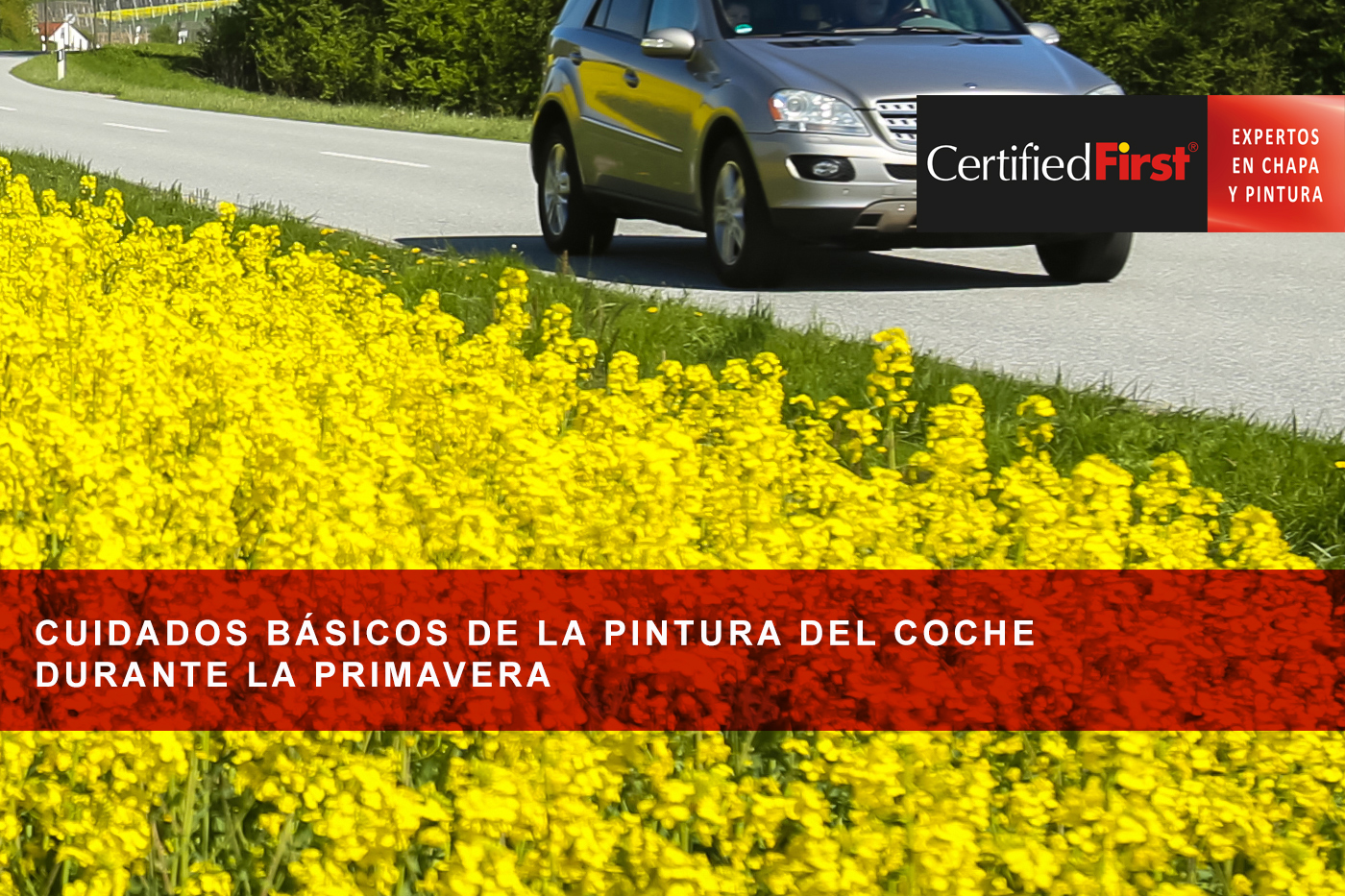 Cuidados básicos de la pintura del coche durante la primavera