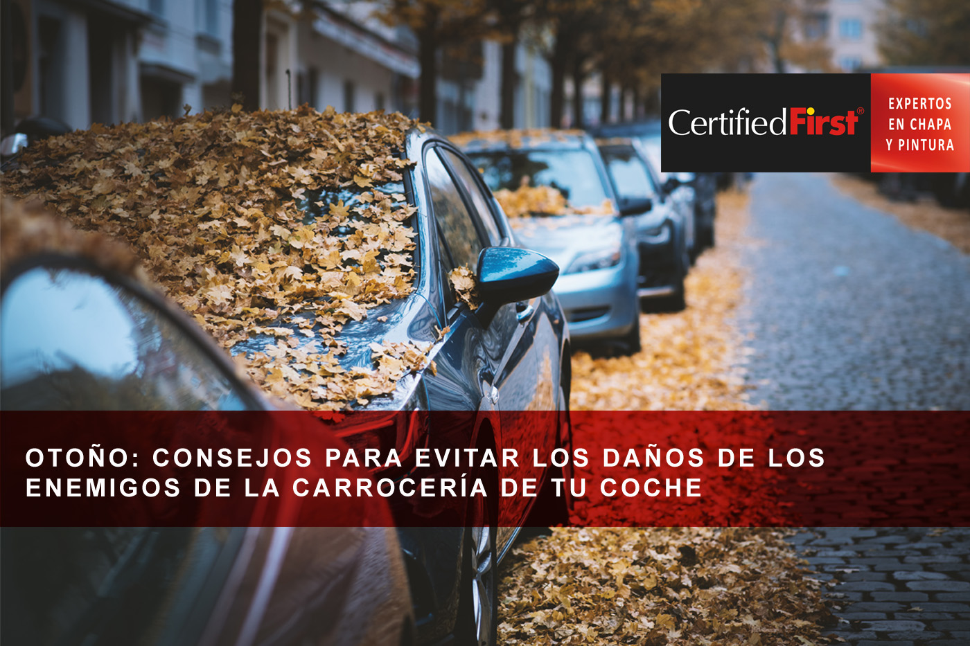 Otoño: consejos para evitar los daños de los enemigos de la carrocería de tu coche