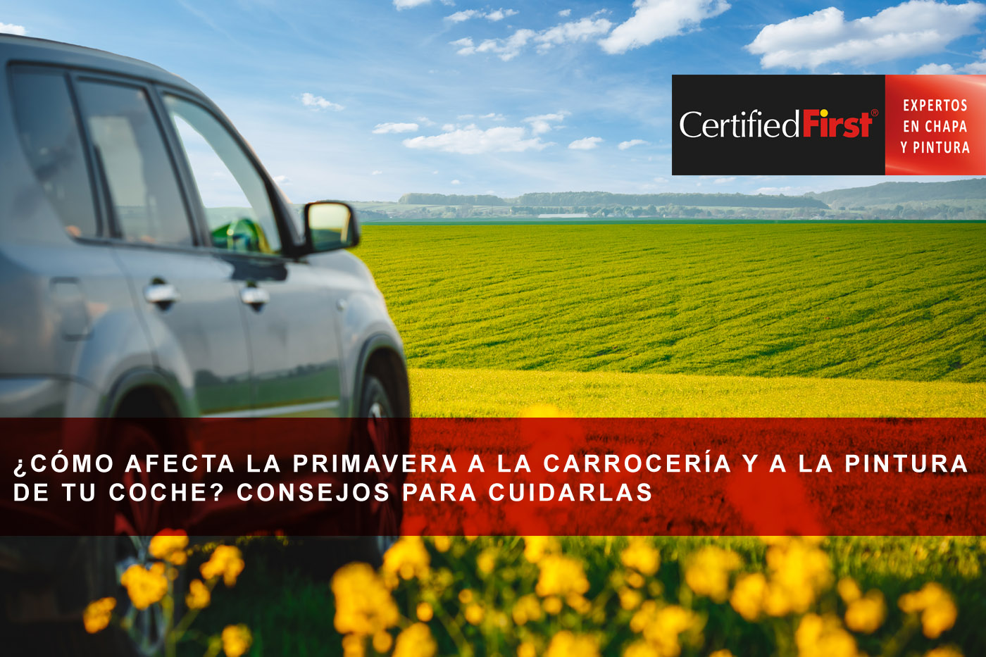 ¿Cómo afecta la primavera a la carrocería y a la pintura de tu coche? Consejos para cuidarlas