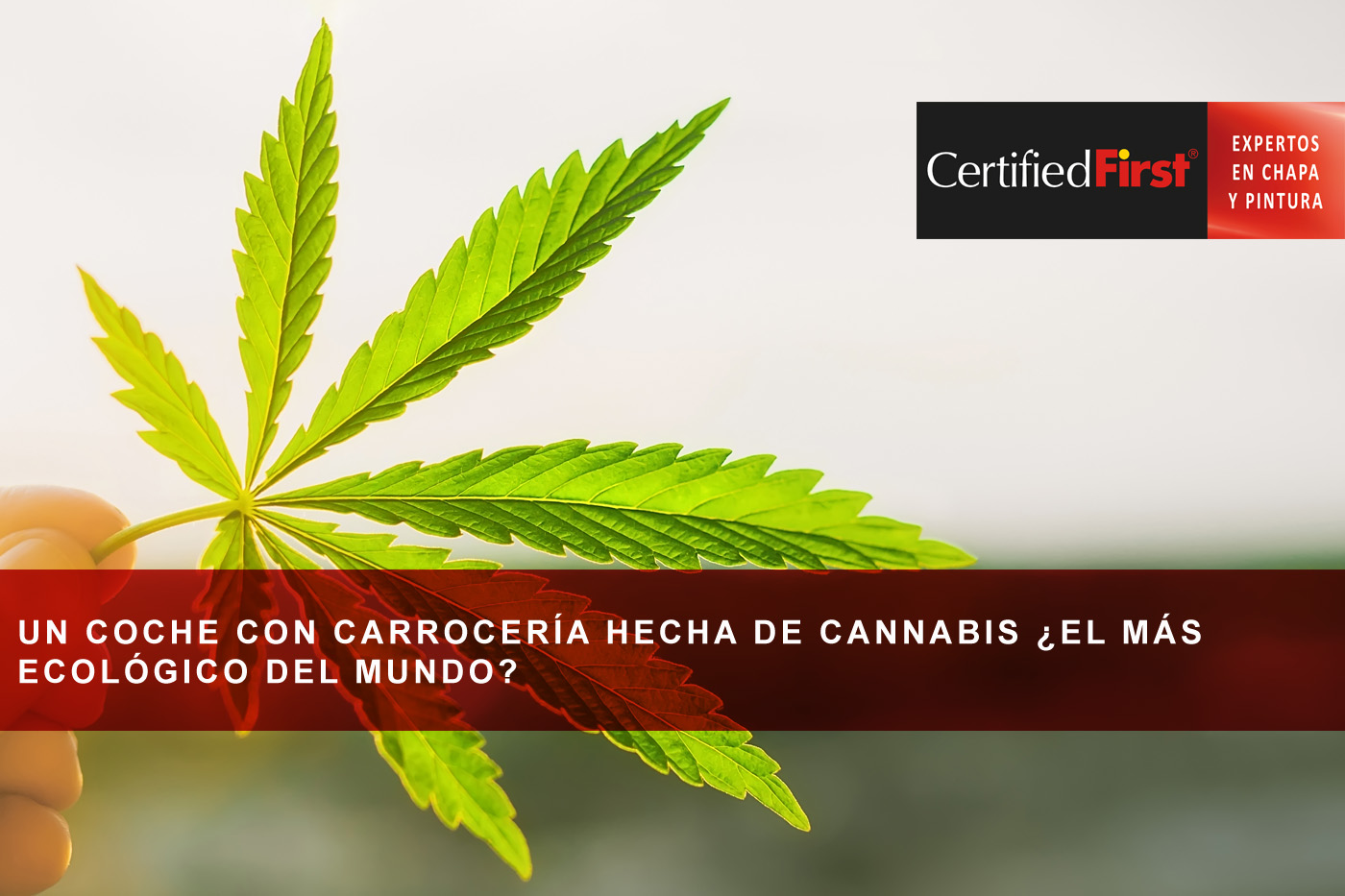 Un coche con carrocería hecha de cannabis ¿el más ecológico del mundo?