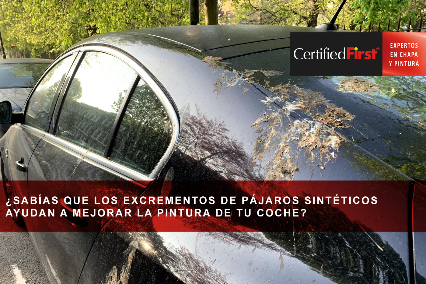 ¿Sabías que los excrementos de pájaros sintéticos ayudan a mejorar la pintura de tu coche? 