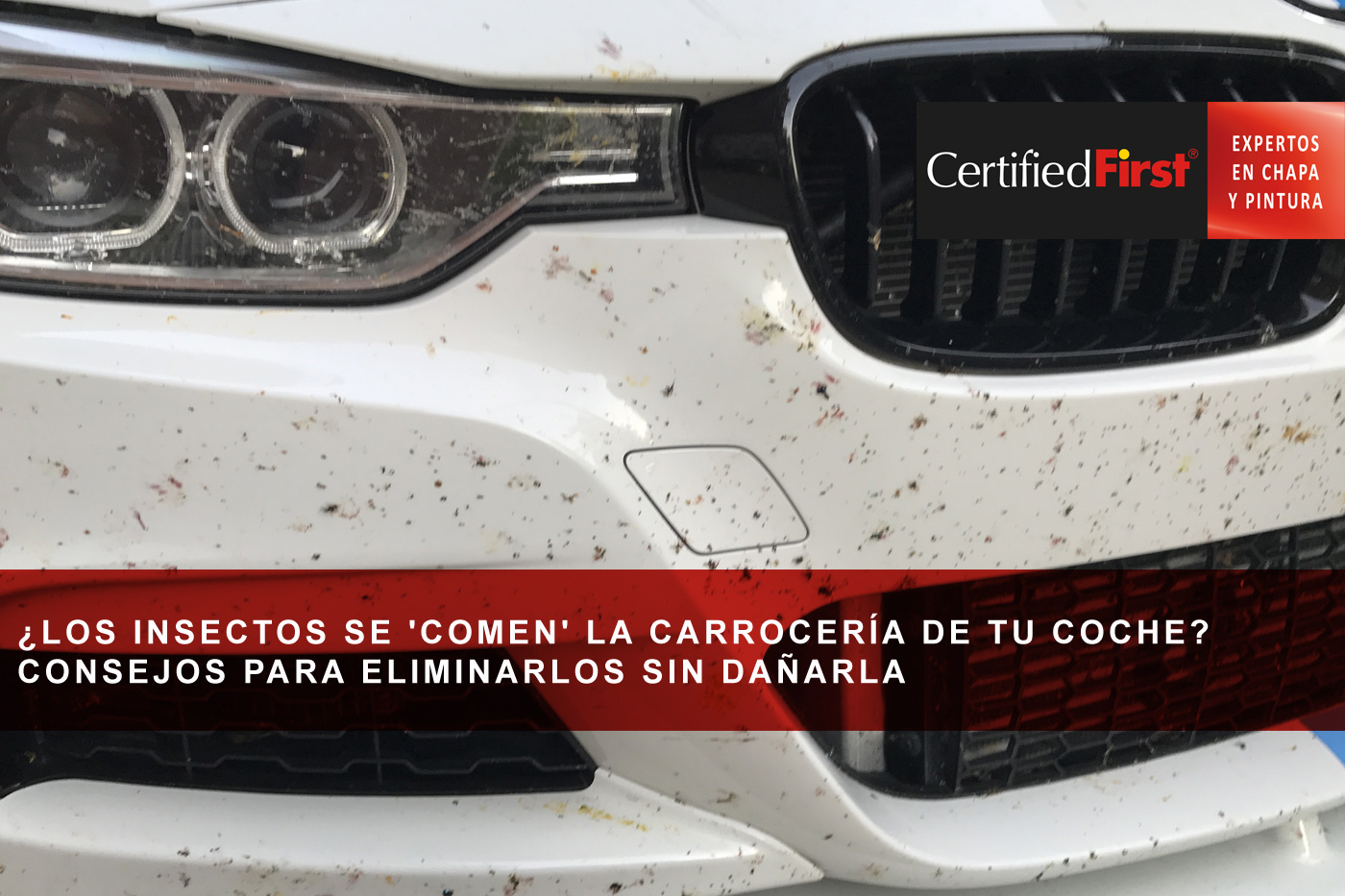 ¿Los insectos se 'comen' la carrocería de tu coche? Consejos para eliminarlos sin dañarla