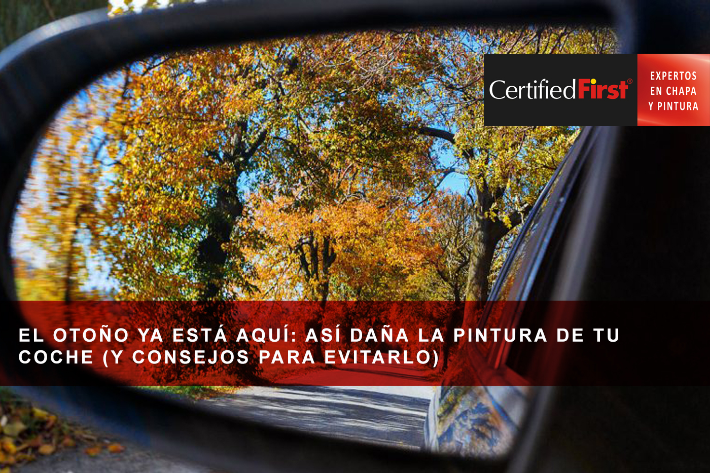 El otoño ya está aquí: así daña la pintura de tu coche (y consejos para evitarlo)