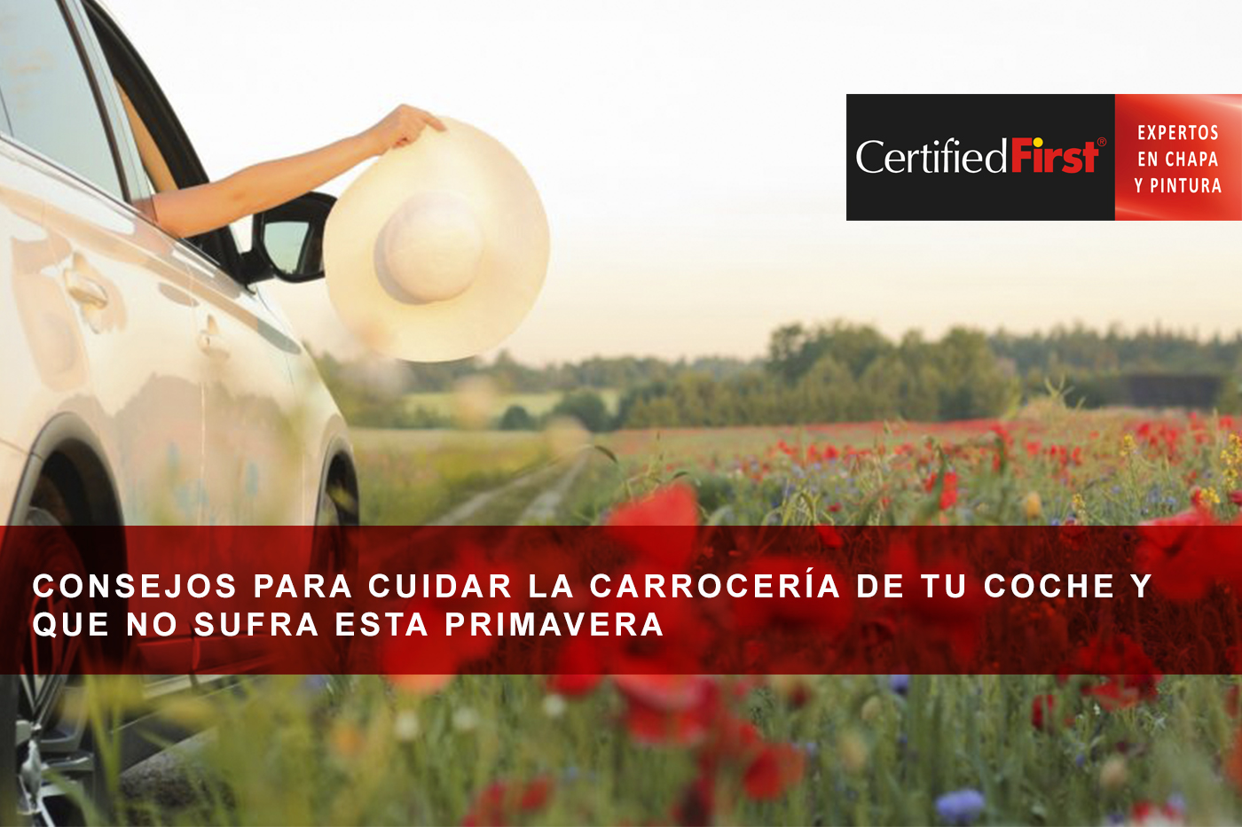 Consejos para cuidar la carrocería de tu coche y que no sufra esta primavera