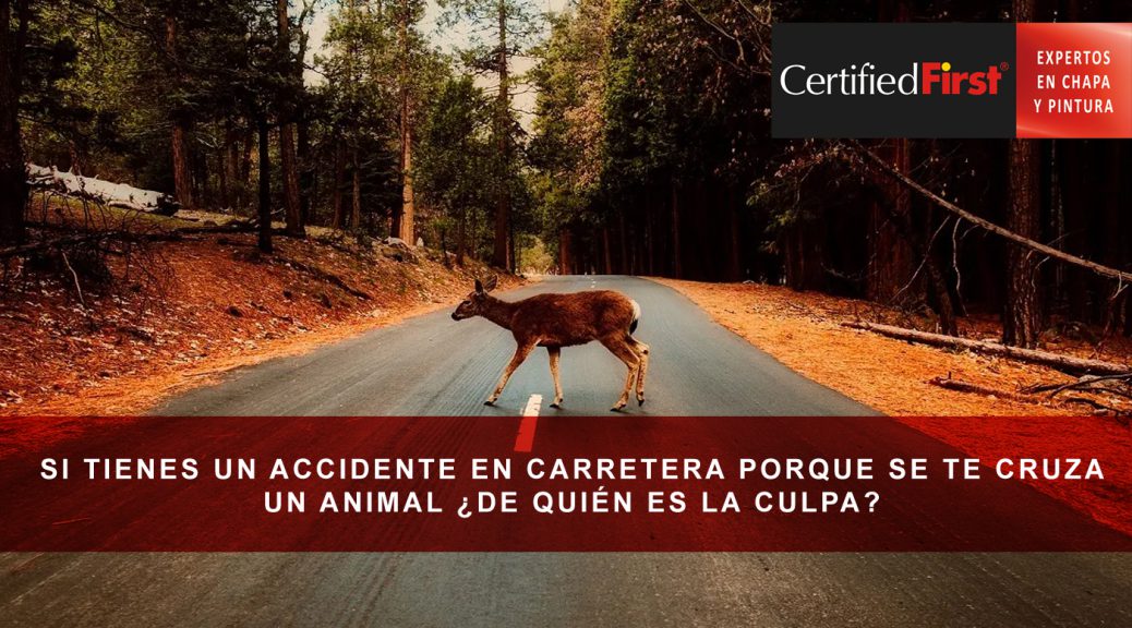 Si tienes un accidente en carretera porque se te cruza un animal ¿de quién es la culpa?